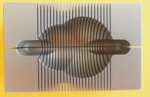brain matrix 300-600g coronal slices